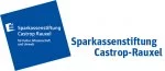 Sparkassenstiftung Logo